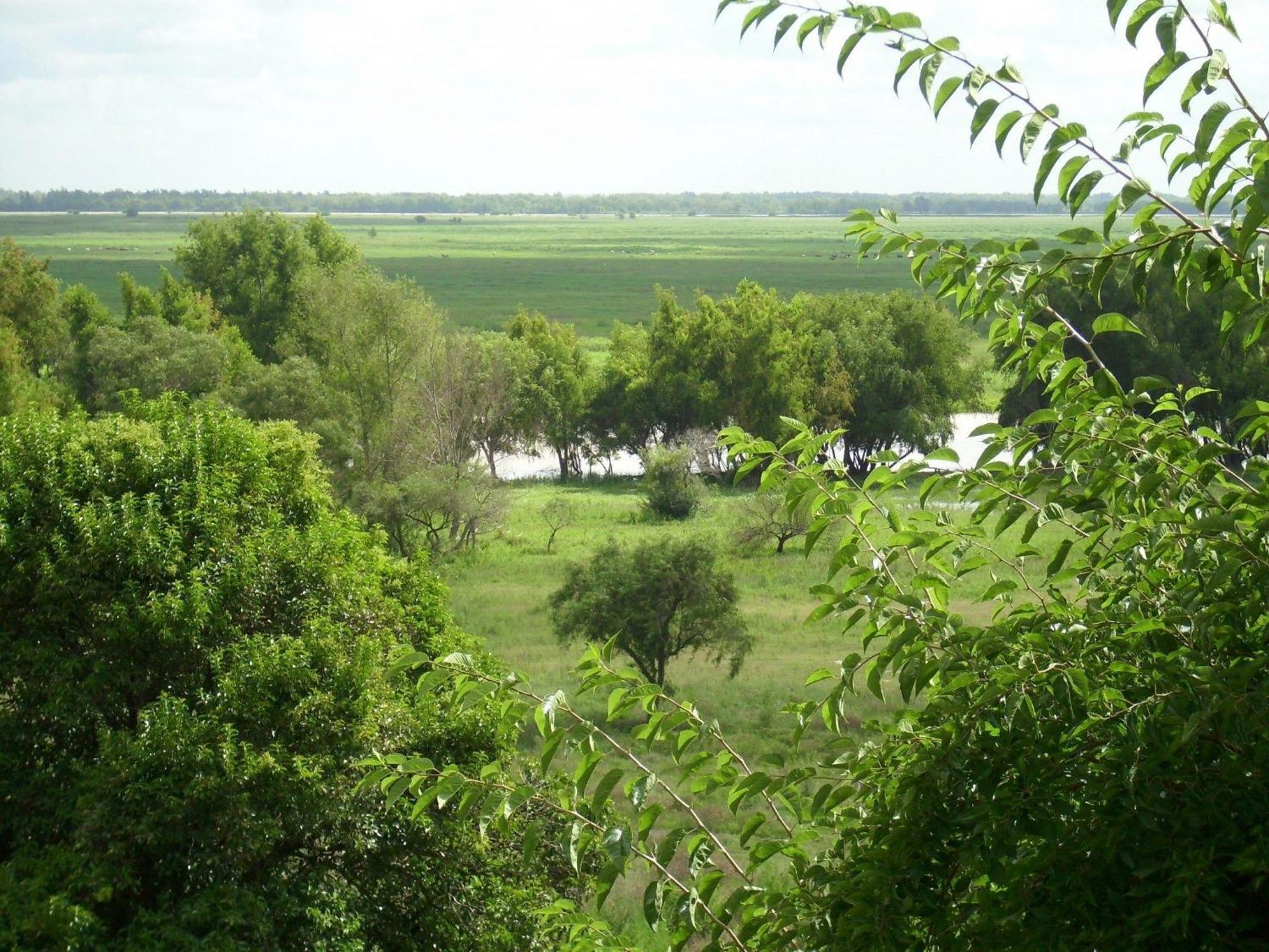 Cabanas De La Ribera 圣佩德罗 外观 照片